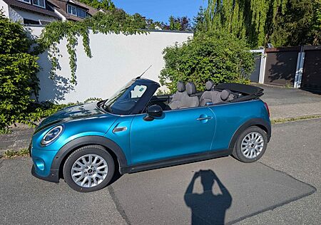 Mini Cooper Cabrio Chili,LED,Rückfahrkamera,Unfallfrei,Garagenwagen