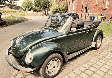 VW Käfer Volkswagen