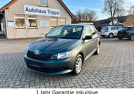 Skoda Fabia Cool Edition 1.Hand EURO 6 8-Fach bereift