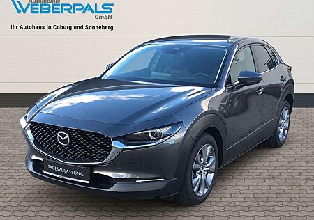 Mazda CX-30 EXCLUSIVE-LINE 2WD-BOSE-NAVI-360 KAMERA-MA