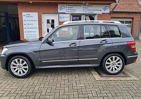 Mercedes-Benz GLK 220 GLK -Klasse CDI BlueEfficiency