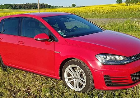 VW Golf Volkswagen 2.0 TDI BMT GTD 1. Hand mit AHK ohne AdBlue