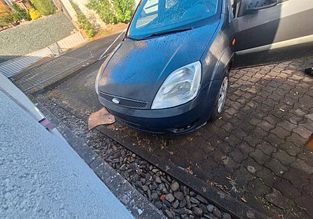 Ford Fiesta 1,3 59kw