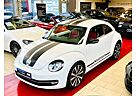 VW Beetle Volkswagen 2.0 TSI Sport|DSG|NAVI|LEDER|FENDER-SOUND