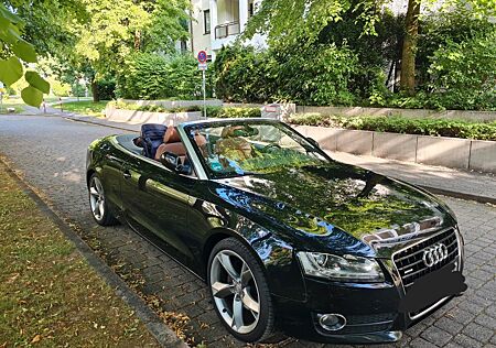 Audi A5 3.0 TDI (DPF) S tronic quattro Cabriolet