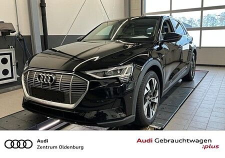 Audi e-tron 55 quattro basis 360-Grad-Rundumschutz