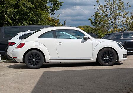 Volkswagen Beetle Design 1.2 TSI 2Hd Shzg LED Klima Temp SH
