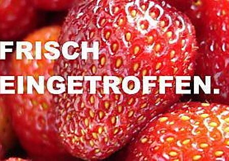 VW T6 Multivan Volkswagen T6.1 Multivan Gen.Six/DSG/ACC/LED/AHK/DAB/KAMERA