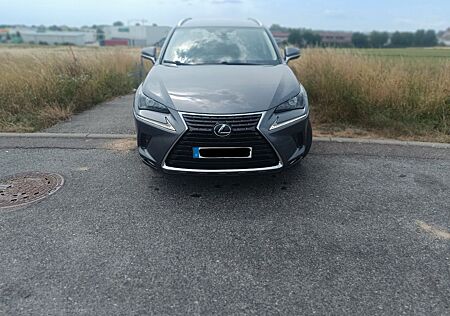 Lexus NX 300 NX 300h Hybryda Tausch