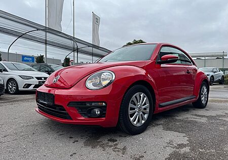 VW Beetle Volkswagen BMT 11.495.- netto