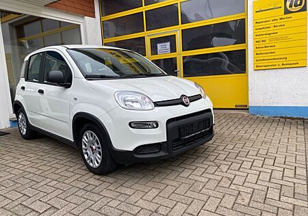 Fiat Panda 1. HAND KLIMA DAB FREISPRECH