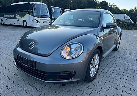VW Beetle Volkswagen 1,6 TDI *Käfer*
