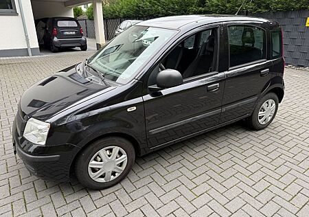 Fiat Panda Pand City Lenkung Perfektes winterauto Pizza tax