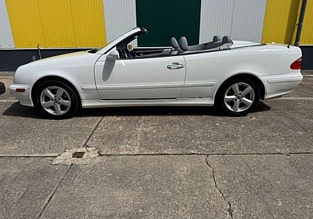 Mercedes-Benz CLK 320 Cabrio 2.Hand-leder-Klimaaut-Tüv-top Zus