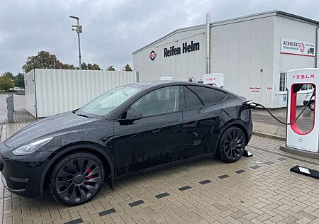 Tesla Model Y Performance Dual Motor AWD Performance