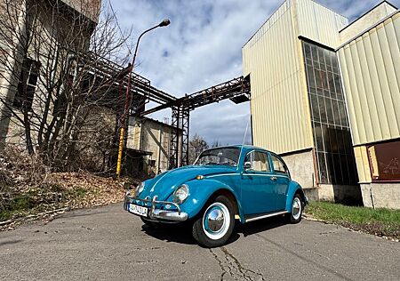 VW Käfer Volkswagen 1965er Oldtimer
