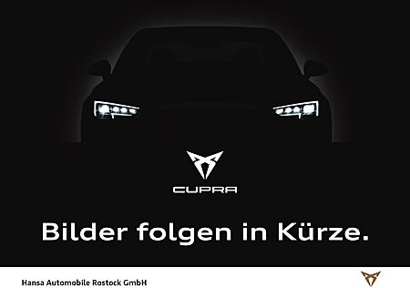 Cupra Formentor 2.0 TDI 4Drive+LED+SHZ+FULL-LINK+3-ZON