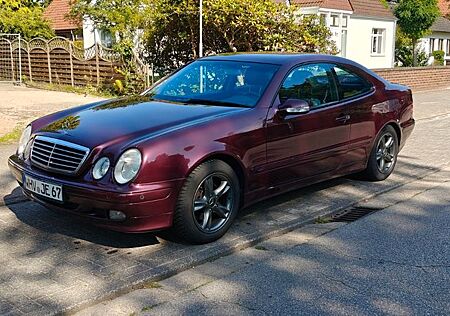 Mercedes-Benz CLK 200 AVANTGARDE Designo Autom. PRINS LPG