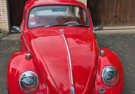 VW Käfer Volkswagen 1966