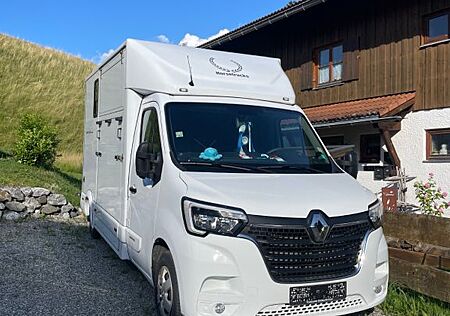 Renault Master Pferdetransporter mit Hengstausstattung