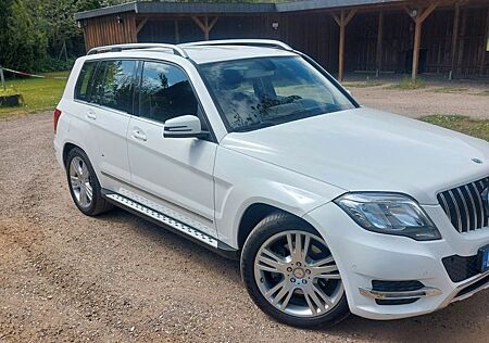 Mercedes-Benz GLK 220 CDI 4-MATIC BE Autom