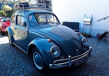 VW Käfer Volkswagen , Standard, Winker,