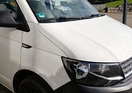VW T6 Transporter Volkswagen 8 Sitze, Scheiben