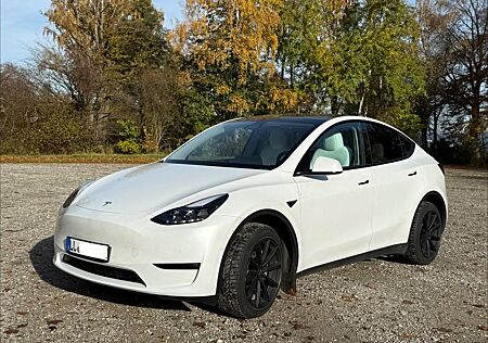Tesla Model Y Long Range AWD weiß/weiß, AHK , WR