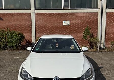 VW Golf Volkswagen 7, 2.0 TDI DIESEL/ZAHNRIEMEN/WAPU + TÜV NEU