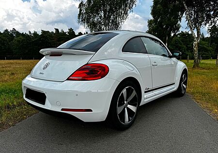 VW Beetle Volkswagen 1.2 TSI CUP - 8-fache Bereifung