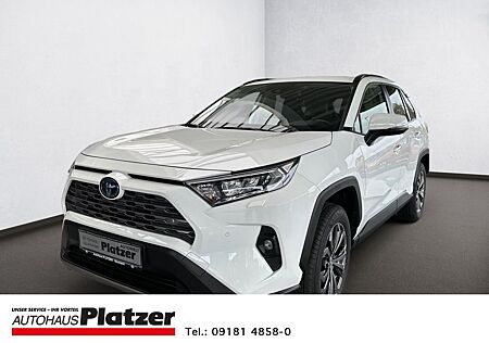 Toyota RAV 4 Team Deutschland Hybrid 2.5 Navi LED ACC A