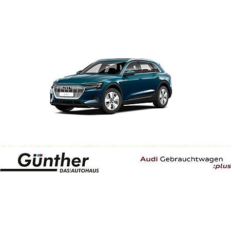 Audi e-tron leasen