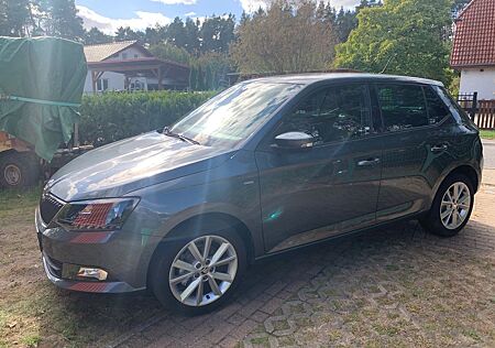 Skoda Fabia 1.0l MPI 55kW CLEVER CLEVER