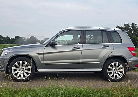 Mercedes-Benz GLK 220 CDI 4MATIC BlueEFFICIENCY -