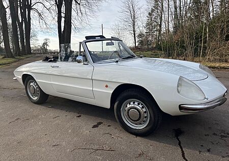 Alfa Romeo Spider Duetto Rundheck 1967