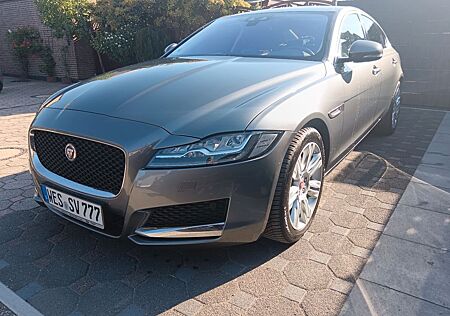 Jaguar XF 30d 300PS Automatik