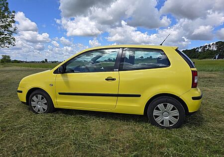 VW Polo Volkswagen 1.2 Basis Basis mit TÜV
