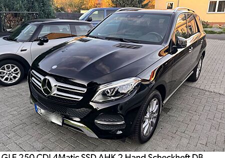 Mercedes-Benz GLE 250 GLE -Klasse d 4Matic Ahk SSD