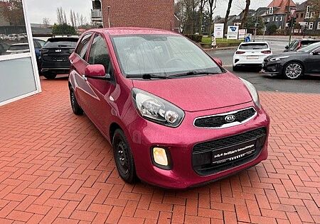 Kia Picanto 1.0 Dream Team*Allwetter*Sitzhzg*