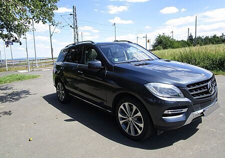 Mercedes-Benz ML 500 4MATIC BlueEFFICIENCY