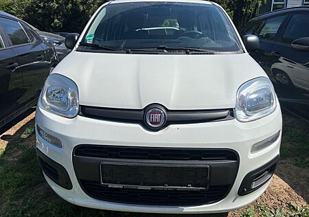 Fiat Panda Pop