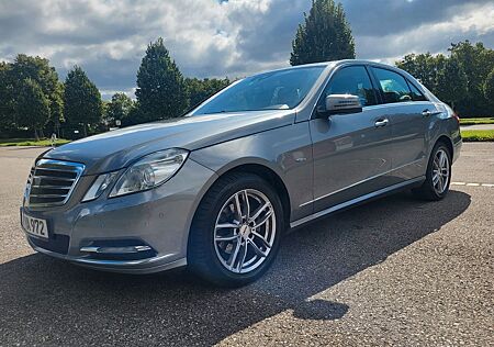 Mercedes-Benz E 220 CDI BlueEFFICIENCY ELEGANCE