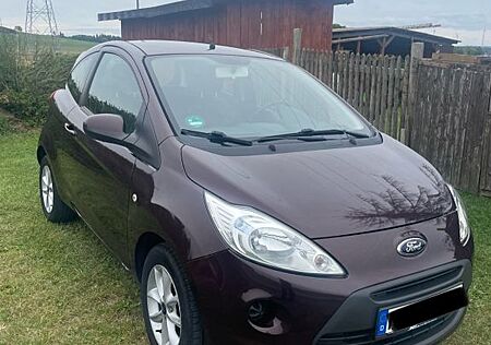 Ford Ka /+ 1,2 Trend Trend