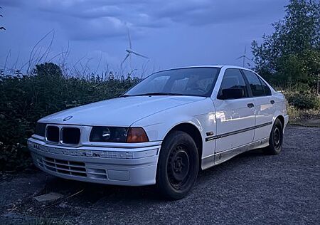 BMW 316i Alpine Weiß