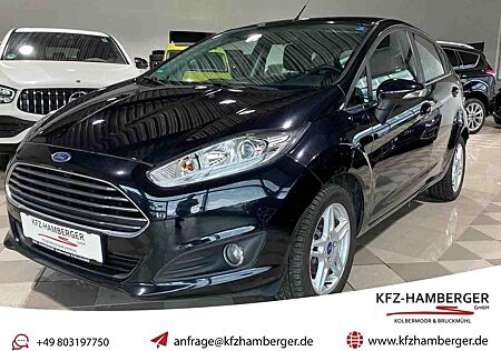Ford Fiesta TITANIUM 5-TÜRER 1.0 ECOBOOST SHZ BT KLIM