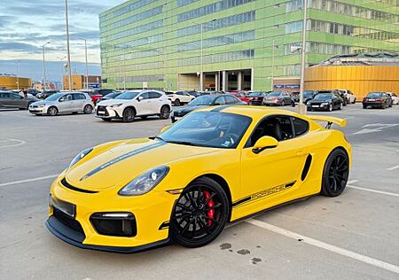 Porsche Cayman gebraucht kaufen Porsche Cayman GT4 PDLS, PPF, Exhaust, Camera, CarPlay