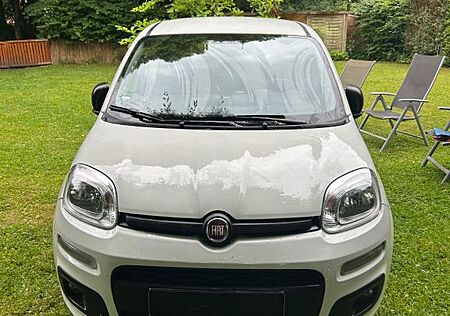 Fiat New Panda Panda 1.2 Easy. 62265 km Zahnriemen neu Bj 2018