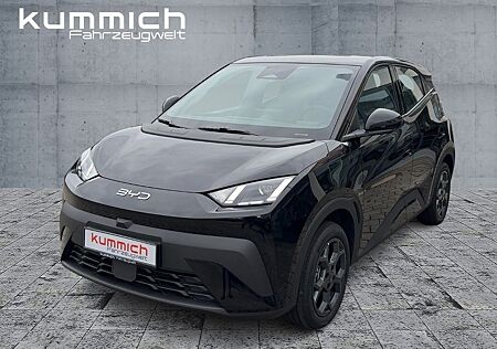 BYD DOLPHIN SURF Boost