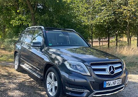 Mercedes-Benz GLK 220 CDI 4MATIC BlueEFFICIENCY -