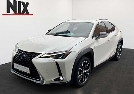 Lexus UX 250h Style Edition KAMERA EPH